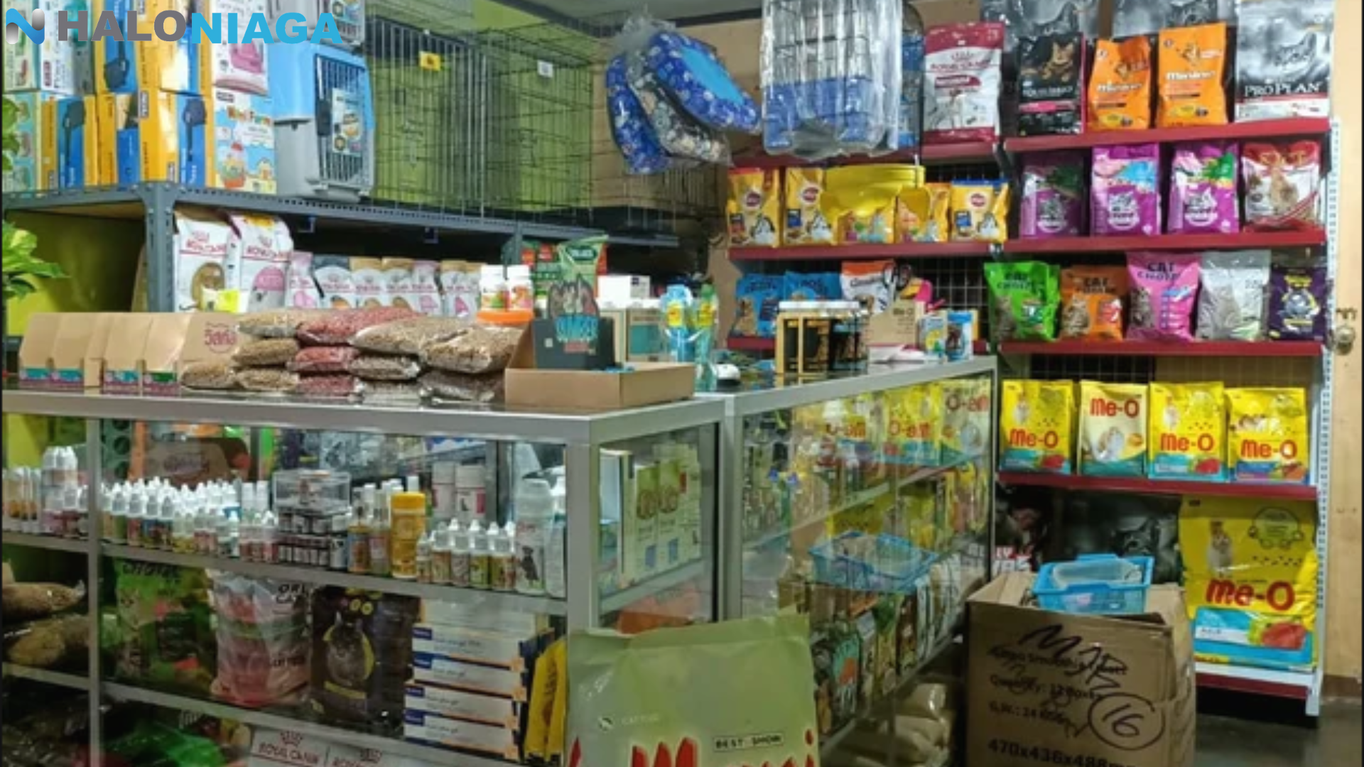 saha sampingan yang menjanjikan