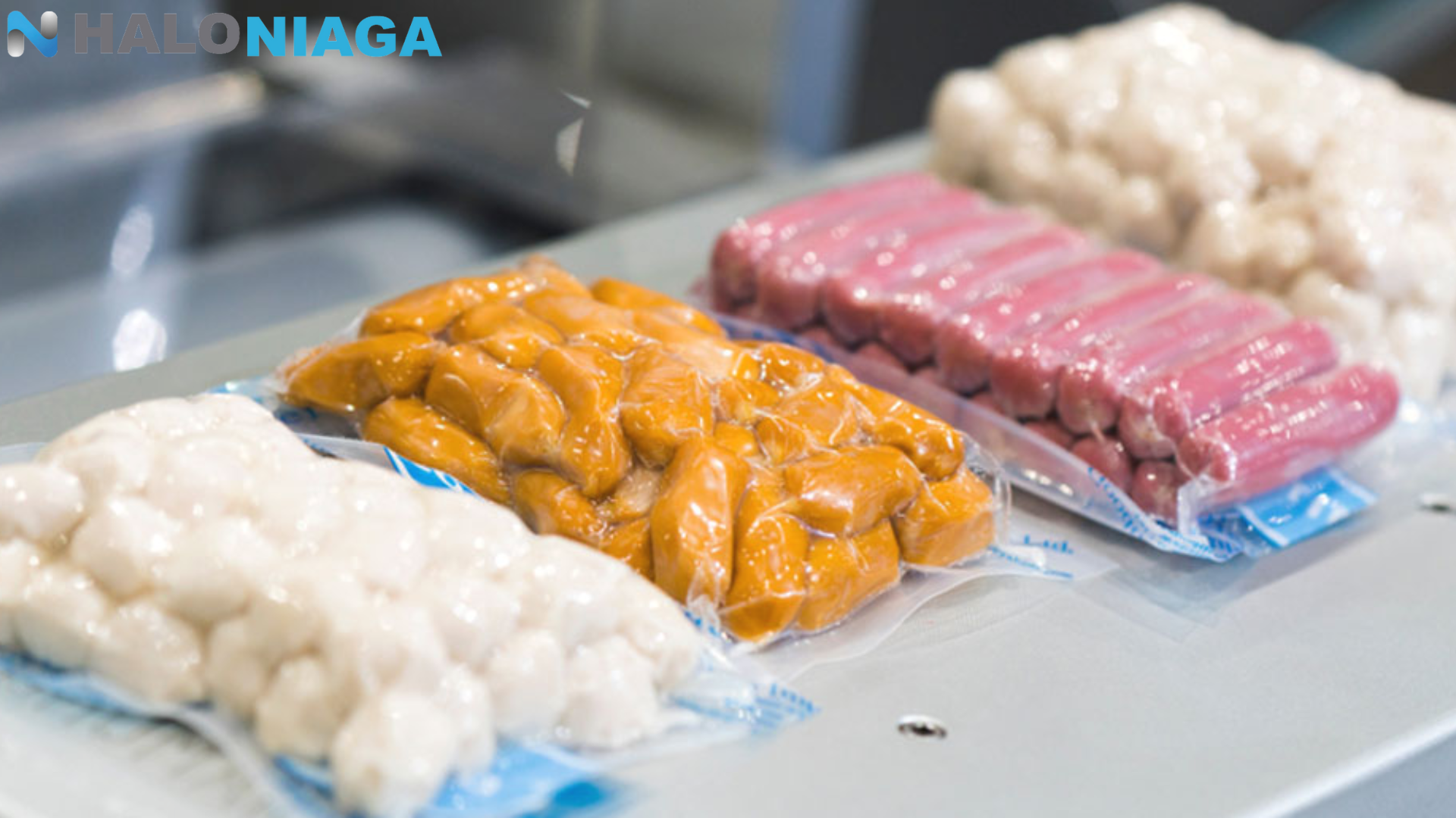 Paket Usaha Frozen Food