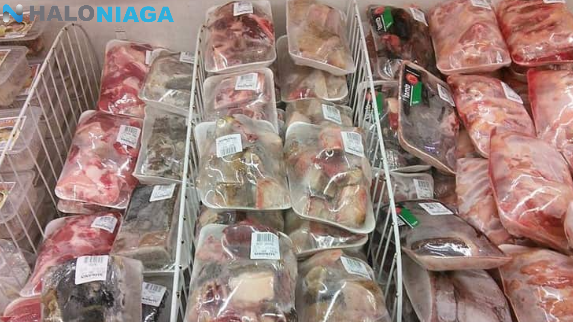 modal usaha frozen food